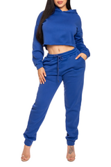 Cropped Hoodie and Jogger Set (Plus)